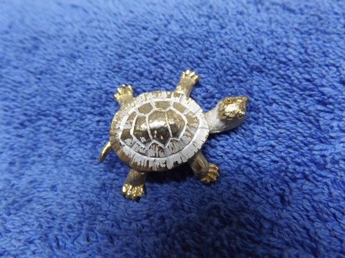 Beautiful old vintage - old, turtle